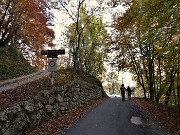 96 Splendidi colori d'autunno anche rientrati al punto di partenza